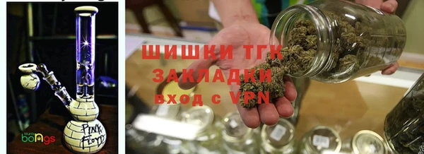 крисы Горнозаводск