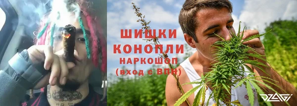 крисы Горнозаводск