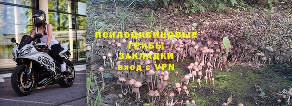 трава Горно-Алтайск