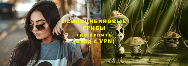 трава Горно-Алтайск